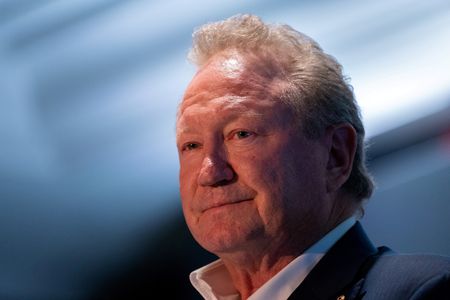 Carbon capture tech a ‘complete falsehood’, says Fortescue Metals chairman